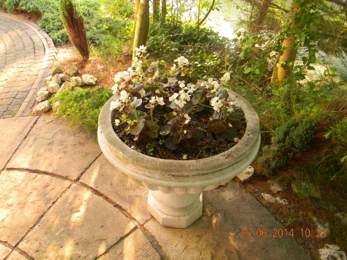 Bed and Breakfast Njoy-Uithof Den Haag Exterior foto